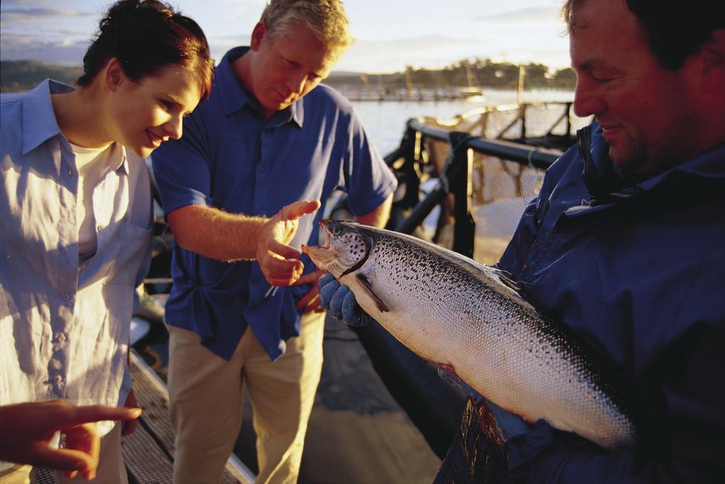 Kermandie Hotel Port Huon Eksteriør billede